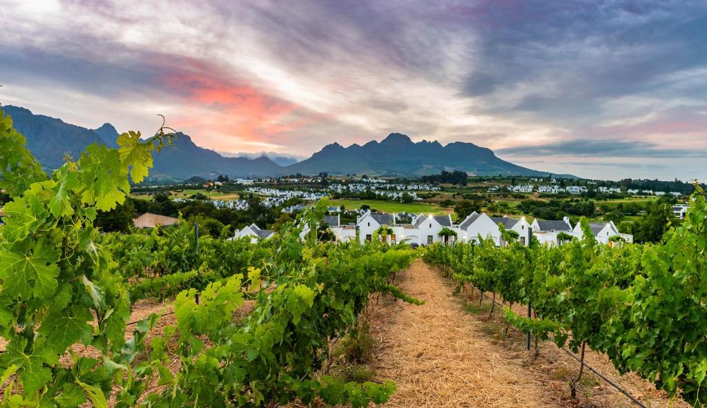 De Zalze Lodge