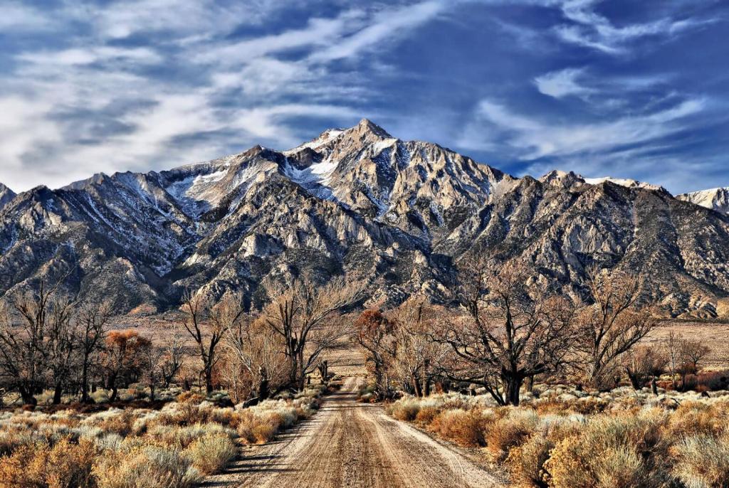 Eastern Sierra Motor Lodge